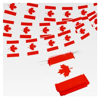 Produktbild von Wimpelbanner mit Kanada-Flaggen für patriotische Veranstaltungen, 1. Juli, Kanada-Tag, Dekoration, Sportstangen – 10 Meter, 38 Flaggen