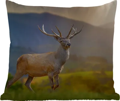 Produktbild von MuchoWow® Outdoor Kissen - Hirsche - Berg - Gras - Sonnenuntergang - Tiere - Natur - 40x40 cm - Wetterfest - Lounge Kissen - Kopfkissen - Interieur - Polster mit Bild