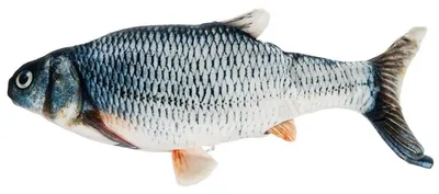 Produktbild von Fischförmiges Katzenspielzeug für Spiel, Jagd und interaktive Beschäftigung