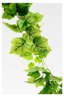 Produktbild von Girlande Deko Weinrebe für Hochzeiten, Partys und Garten