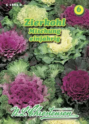 Produktbild von Zierkohl Mischung | Kohlsamen von N.L. Chrestensen