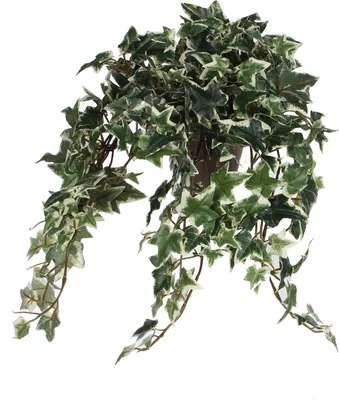 Produktbild von Mica Decorations Efeu Kunstpflanze im Blumentopf Stan - H45 x Ø25 cm - Grün, Bunt