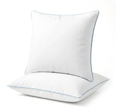 Productafbeelding van Bedkussen 60 x 60 cm, 2 stuks, 100% katoenen hoes, donsalternatief vulling, machinewasbaar