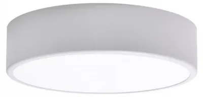 Obrázek produktu pro TEMAR Stropní svítidlo 89832 CLEO 300 SR IP20 stříbrná mat 2xE27