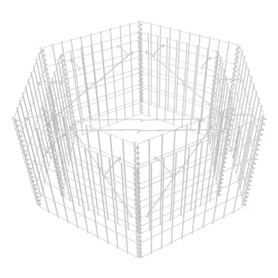 Image de vidaXL Plateau hexagonal en gabion 100×90×50 cm - Pots de fleurs & Jardinières