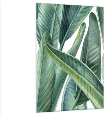 Produktbild von Bilder auf glas - Einteilig - Exotisch Blätter Grün - 80x120cm - Glasbilder - Wandbilder - Bilder - zum Aufhängen bereit - Wanddekoration aus Glas - Glas Bilder - Wandbild auf Glas - GPA80x120-4258