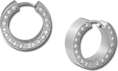 Immagine prodotto di Amello orecchini a cerchio in acciaio inossidabile orecchini da donna con zirconi argento bianco ESOS12W