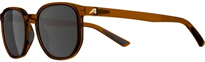Image de Lunettes de soleil Alpina Dimont marron-transparent mat/marron