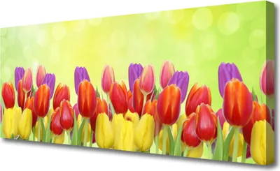 Produktbild von Tulup Leinwand-Bilder 125x50 Wandbild Canvas Kunstdruck Tulpen Pflanzen