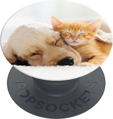 Produktbild von PopSockets PopGrip Basic Smartphone Grip - Cat And Dog
