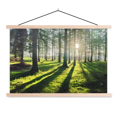 Produktbild von MuchoWow® Textilposter Bäume - Natur - Wald 60x40 cm mit holzfarbenen Rahmen - Bilder