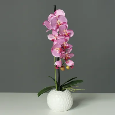 Produktbild von künstliche Orchidee, Phalaenopsis pink in weißem Topf H. 46cm DPI Kunstblumen