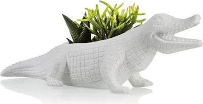Produktbild von Krokodil Blumentopf aus Porzellan