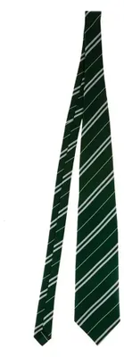 Produktbild von Slytherin-T-Shirt – Lochaven – Harry Potter
