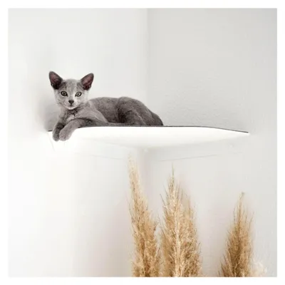 Produktbild von Katzenliege und Kletterstufe mit Filzauflage für Wandecken | Wandliege für Katzen | Katzenstufe Wandecke | Katzenmöbel für Kletterwand | Katzenregal | Anthrazit