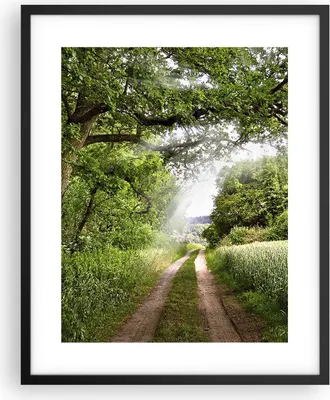 Produktbild von Gerahmtes Poster - Schwarzer Rahmen - Pfad Natur Wald Grün - 40x50 cm - Wand Bild - Wanddeko - Wandbilder - Kunstposter - Wandposter - Bilderrahmen - Bilder - Kunstdruck - Wandbild - P2BPA40x50-2637