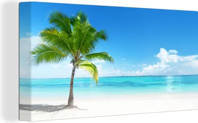 Produktbild von OneMillionCanvasses® - Leinwandbilder - Bild auf Leinwand Wandbild Leinwandbild Palme - Strand - Meer - Sommer, 80x40 cm, Kunstdruck Wandkunst Gemälde auf Holzrahmen - Bilder auf Leinwand