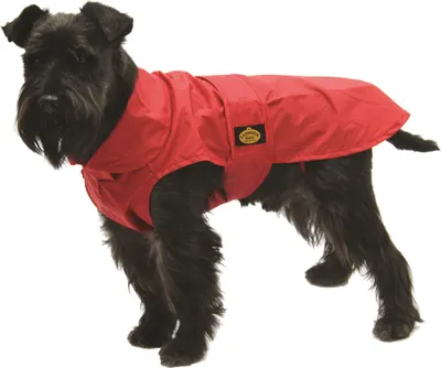 Produktbild von Fashion Dog Regenmantel für Hunde - Rot - 55 cm