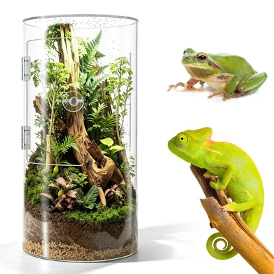 Productafbeelding van Cilindrische Terrarium voor Huisdieren met 360° Panorama