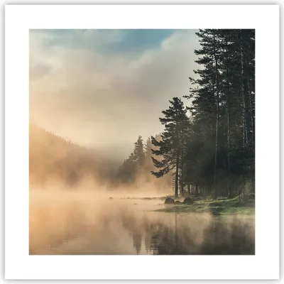 Produktbild von Poster - Poster ohne Rahmen - Nebel See Wald - 40x40 cm - Wand Bild - Wanddeko - Wandbilder - Kunstposter - Wandposter - Bilder - Kunstdruck - Wanddekoration - Wandbild - P2XAC40x40-4440