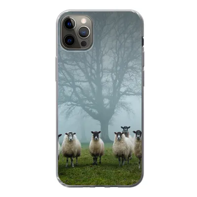 Produktbild von MuchoWow® Handyhülle Schutzhülle Hülle für iPhone 13 Pro Max Schaf - Baum - Nebel Silikon Softcase Handy Hülle - Mobiltelefon