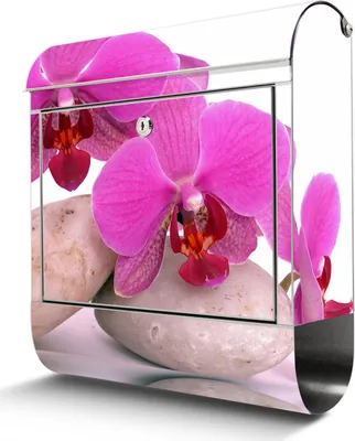 Zdjęcie produktu dla Skrzynka na listy ze stali nierdzewnej z przegrodą na gazety Skrzynka na listy Orchid o dużym designie, nierdzewna, otwór A4 [BKGE2 10086]