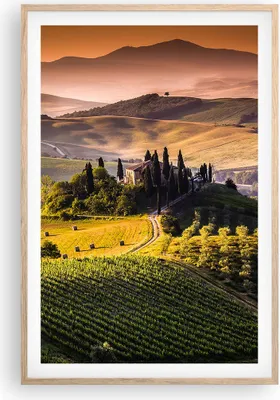 Produktbild von Gerahmtes Poster - Rahmen in heller Eiche - Landwirtschaft Bauernhof Toskana Weinberg - 61x91,5 cm - Wand Bild - Wanddeko - Wandbilder - Wandposter - Bilderrahmen - Bilder - Kunstdruck P2NPA61x91-2465