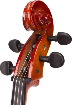 Image de Taille : 1/4