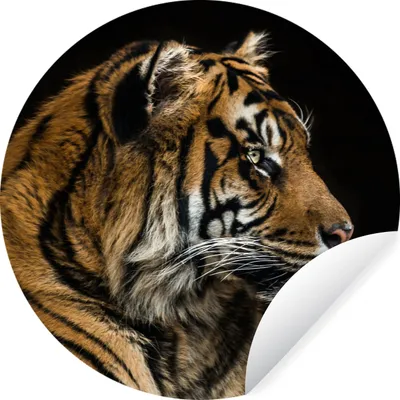 Produktbild von MuchoWow® Runde Wandtattoo - Wandsticker Tapete Aufkleber Tiger - Tierkopf - Schwarz Ø 100 cm Selbstklebend und Repositionierbar - Wandaufkleber - Kreis - Tapetenkreis - Wandbild rund - Schlafzimmerdekoration - Wanddeko - runde Tapete - Kunst für zu Hause