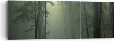 Produktbild von Bild auf Leinwand - Leinwandbild - Wald Nebel Baum - 90x30cm - Wand Bild - Wanddeko - Wandbilder - Leinwanddruck - Bilder - Kunstdruck - Wanddekoration - Leinwand bilder - Wandkunst - CA90x30-3543