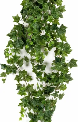 Produktbild von Emerald Kunstpflanze Efeu Hängend 180 cm 418712