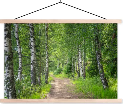 Produktbild von MuchoWow® Textilposter Wald - Bäume - Birke 60x40 cm mit holzfarbenen Rahmen - Bilder