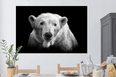 Produktbild von MuchoWow® - Selbstklebend - Fototapeten