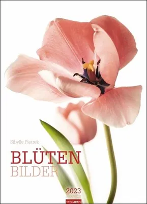 Produktbild von Pietrek, S: Blütenbilder 2023