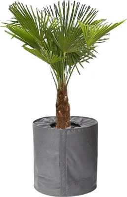 Produktbild von Thermo-Topfschutz Pflanzschutz 50x70cm grau