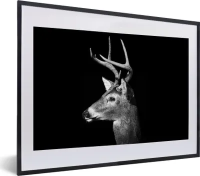 Produktbild von MuchoWow® MuchoWow® Gerahmtes Poster Tierprofil Hirsche in schwarz und weiß 40x30 cm - Poster mit zchwarzem Bilderrahmen - Bilderrahmen - Poster im Rahmen