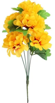 Produktbild von Strauß aus 5 gelben Chrysanthemen (36 cm).