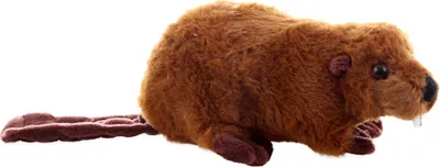 Immagine prodotto di Castoro di peluche 21 cm