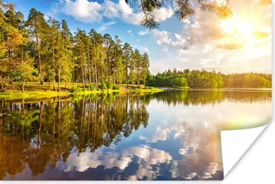Produktbild von MuchoWow® Poster Wasser - Bäume - Natur 180x120 cm - Fotoplakat