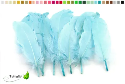 Produktbild von 10 Gänsefedern 15-20cm, Farbauswahl:hellblau 311 / babyblau / zartblau