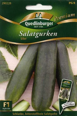 Produktbild von Salatgurken, Silor