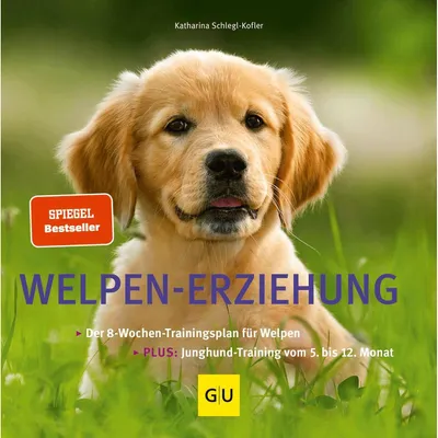 Image de Welpen-Erziehung