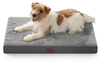Immagine prodotto di Cuccia per cani lavabile, cuscino confortevole, colore grigio, dimensioni 74x46x7 cm