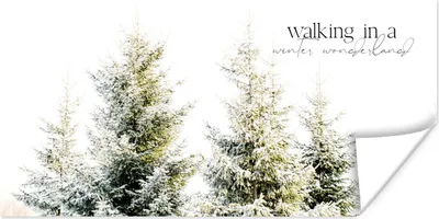 Produktbild von MuchoWow® Poster Weihnachtsbaum - Winter - Schnee 160x80 cm - Foto Poster