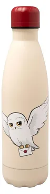 Image de Bouteille d'eau en acier inoxydable Hedwig 500 ml pour voyage