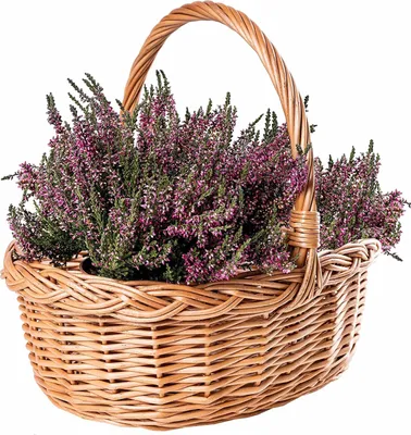 Produktbild von Creative Home Picknickkorb Weidenkorb mit Henkel Einkaufskorb | 35 x 30 x 35 cm (+/- 1 cm) | Groß und Leicht | Naturbraun | Handgeflochten | Universell und Langlebig Osterkörbchen Geflochten