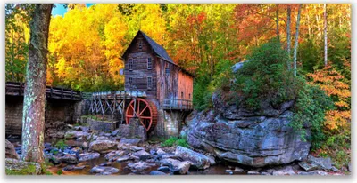 Produktbild von Tulup Leinwand-Bilder 120x60 Wandbild Canvas Kunstdruck Wald Steine Natur