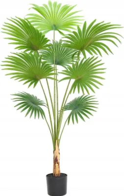 Image de Plante Artificielle Palma Xxl En Etang Réaliste 160Cm