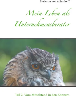 Produktbild von Mein Leben als Unternehmensberater