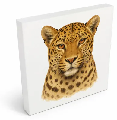 Produktbild von Raubtierblick Leopardenkopf Holzbild in 10x10 cm zum Stellen oder Aufhängen